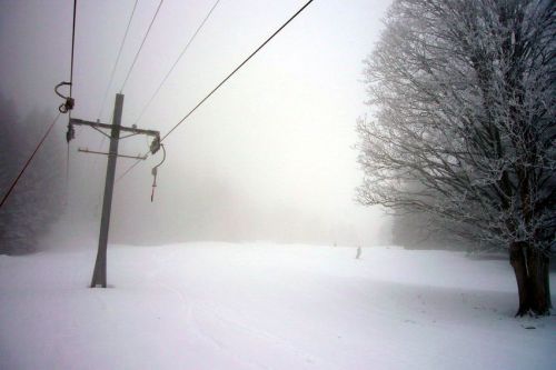 29. Januar 2009
