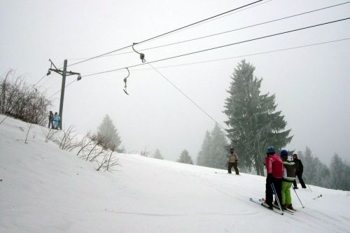 29. Januar 2009
