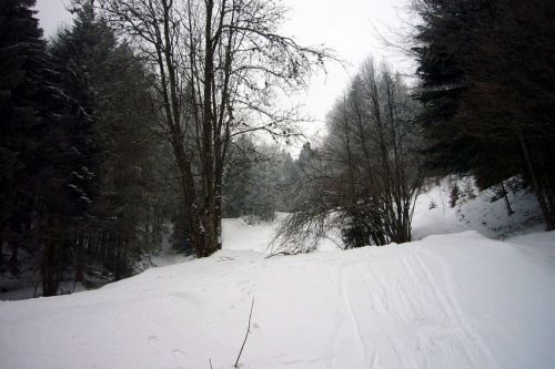 29. Januar 2009
