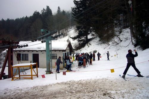 29. Januar 2009
