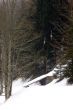 Dateiname=20090129-grandval-0619.jpg
Dateigröße=102KB
Abmessungen: 434x650
hinzugefügt am: 30. Januar 2009 20090129-grandval-0619.jpg