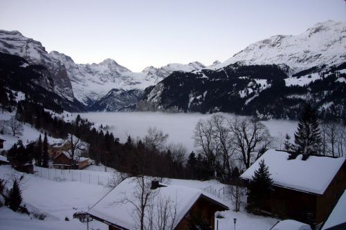 Wengen, Samstag, 31. Januar 2009 - die Nebeldecke ist gestiegen

