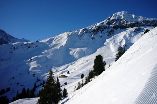 31. Januar 2009
