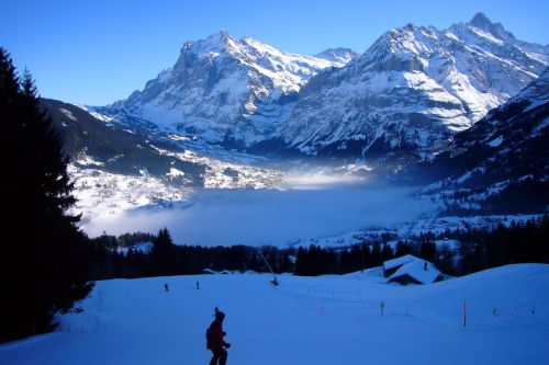 31. Januar 2009
