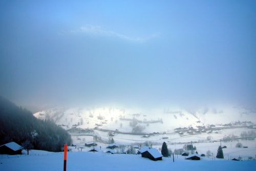 31. Januar 2009
