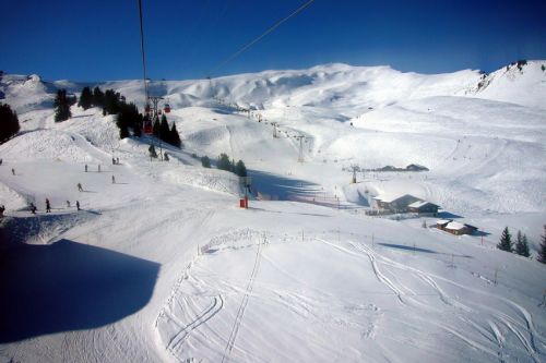 31. Januar 2009
