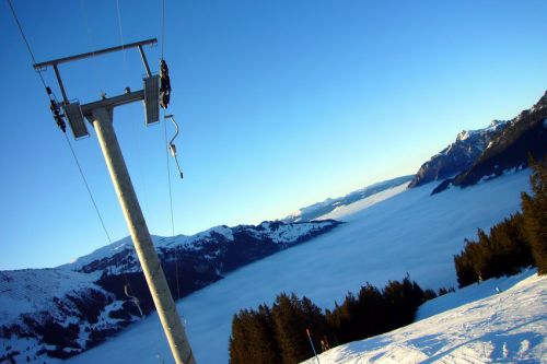 31. Januar 2009
