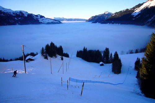 31. Januar 2009
