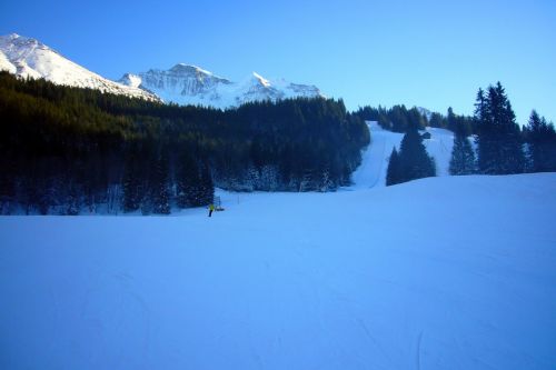 31. Januar 2009
