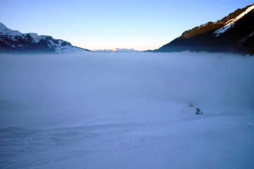 31. Januar 2009
