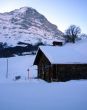 20090131-wengen-0735.jpg