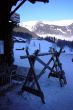 20090131-wengen-0743.jpg