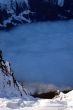 20090131-wengen-0794.jpg
