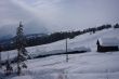 20090214-sarn-0062.jpg