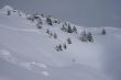20090214-sarn-0084.jpg