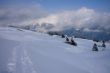 20090214-sarn-0113.jpg
