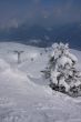 20090214-sarn-0119.jpg