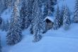 20090219-b-selital-0260.jpg
