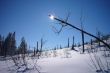 20090219-b-selital-0324.jpg