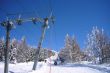 20090220-rosswald-0476.jpg