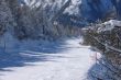 20090220-rosswald-0505.jpg
