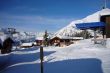 20090220-rosswald-0602.jpg