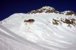 20090228-sedrun-0887.jpg