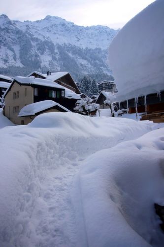 Selten so viel Schnee in Wengen gesehen... Samstag, 7. März 2009 - es tut langsam auf
