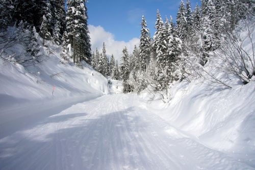 Unterwegs auf der Mettlenpiste nach Brandegg
