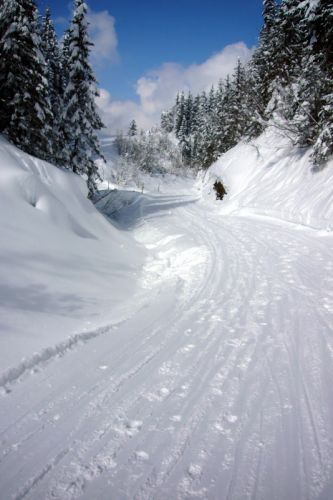 7. März 2009
