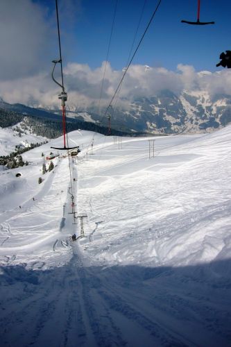 7. März 2009
