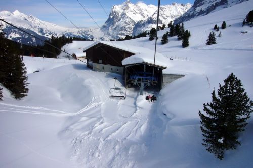 13. März 2009
