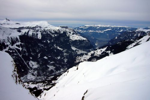 14. März 2009
