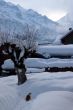 20090307-wengen-60966.jpg