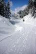 20090307-wengen-60992.jpg