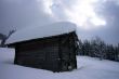 20090307-wengen-70043.jpg