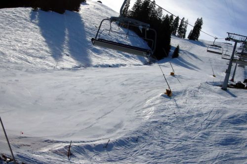 17. März 2009
