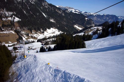17. März 2009
