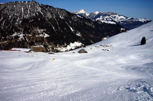 17. März 2009
