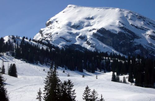 17. März 2009

