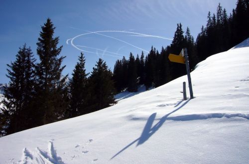 17. März 2009
