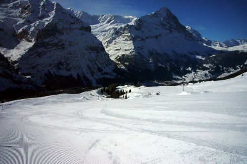 31. März 2009
