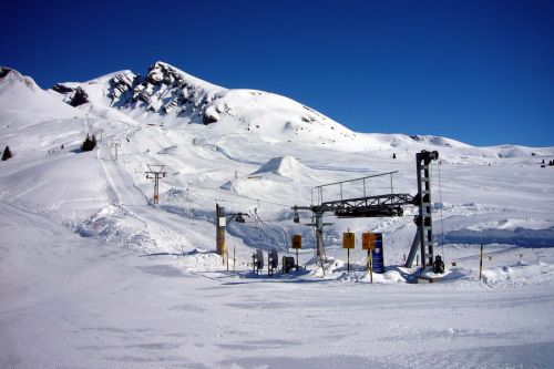 31. März 2009
