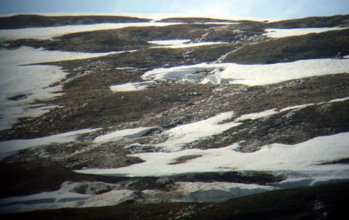 Blick mit dem Feldstecher gen Cuolm Val - da lagen vor einer Woche noch rund 1.5m Schnee...
