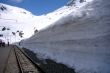 20090407-sedrun-0627.jpg