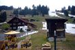 20090421-engstligenalp-0994.jpg