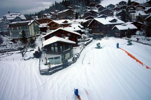 5. Dezember 2009
