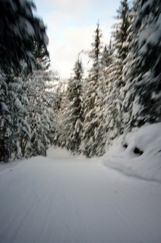 5. Dezember 2009
