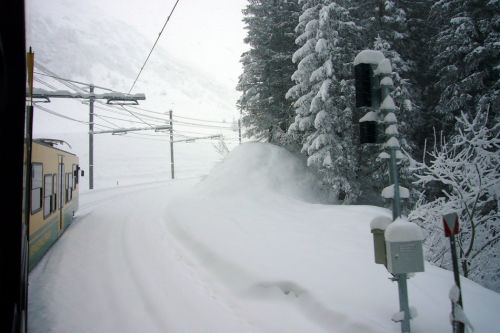 13. Dezember 2009

