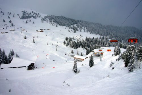 13. Dezember 2009
